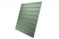 Профнастил С10A 0,45 PE RAL 6019 бело-зеленый