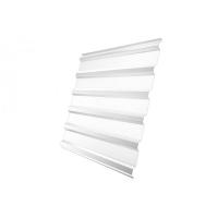 Профнастил С20R 0,4 PE RAL 9003 сигнальный белый