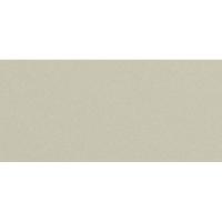 Сайдинг CEDRAL smooth (гладкий) С08